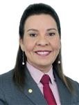 imagem-do-deputado